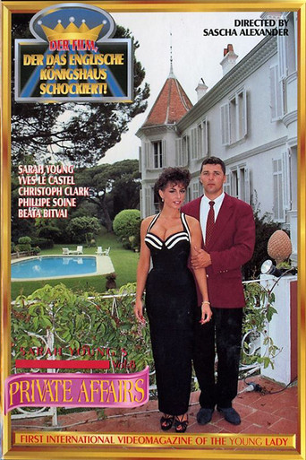 Private Affairs 8 poster