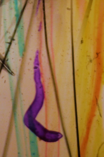 Visions From My Scalp poster