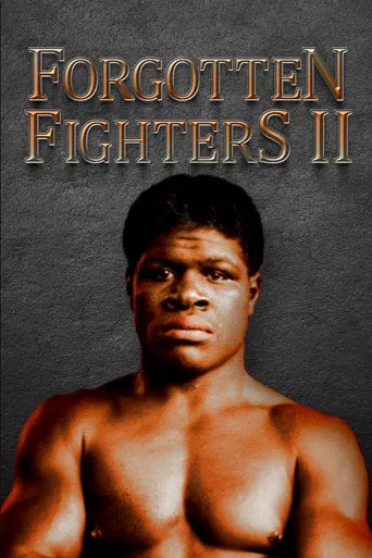 Forgotten Fighters II poster