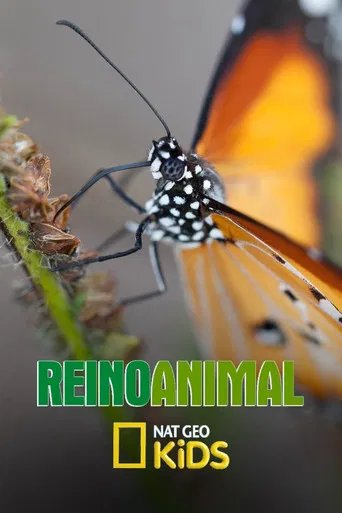 Reino Animal poster