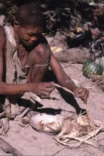 Bitter Melons poster