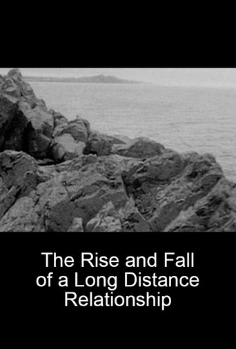The Rise and Fall of a Long Distance Relationship poster