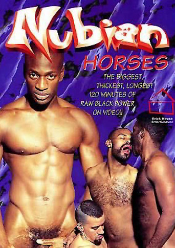 Nubian Horses poster