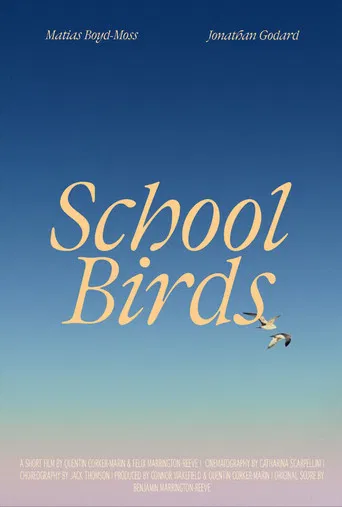 School Birds poster