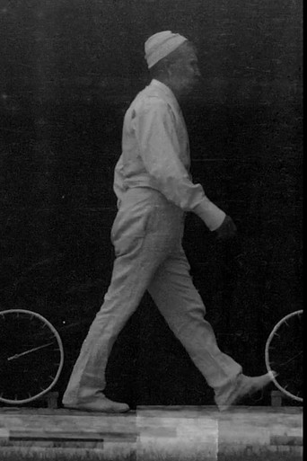 Marche Ordinaire poster