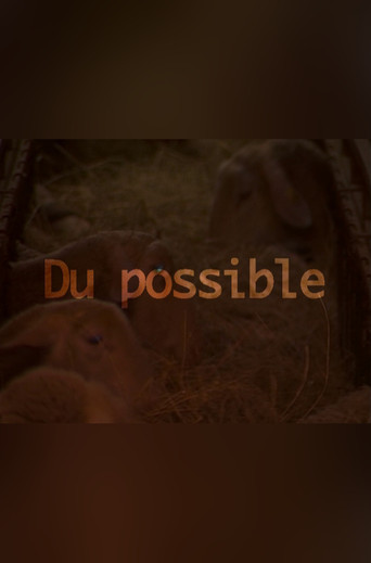Du possible poster
