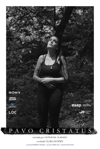 Pavo Cristatus poster