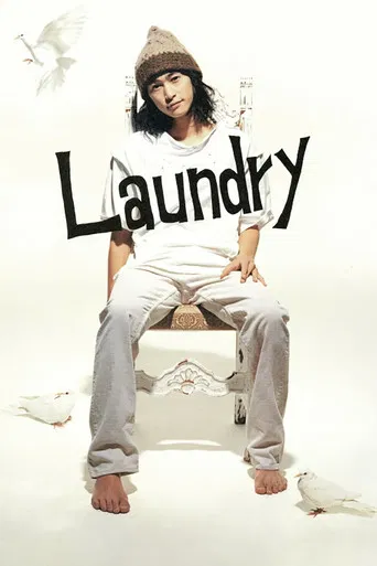 Laundry poster