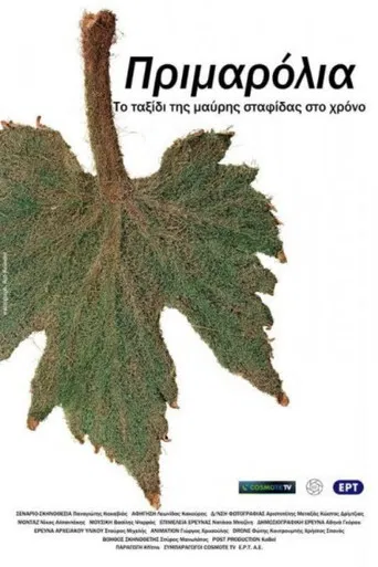 Primarolia poster
