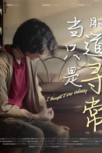 I Thought It Was Ordinary poster