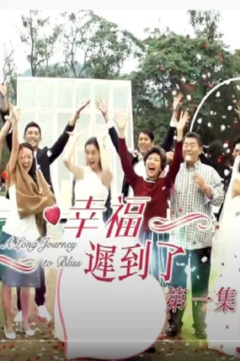 幸福 迟到了 poster