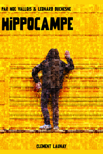 Hippocampe poster