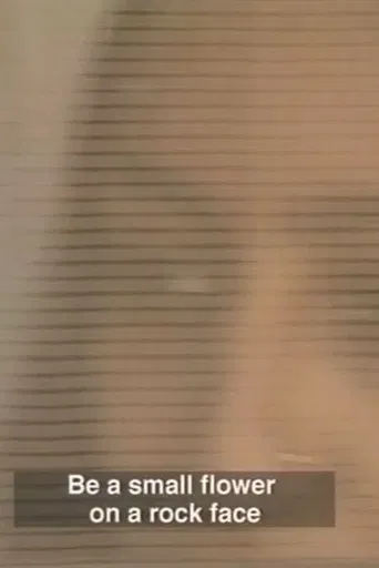 In the Eye of the Fish poster