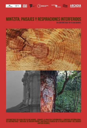 Mintsita, paisajes y respiraciones interferidos poster