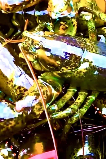 Poor Man's Protein poster