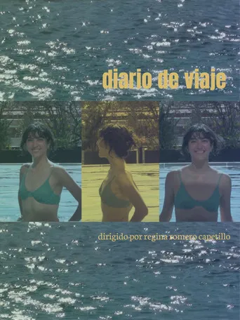 diario de viaje poster