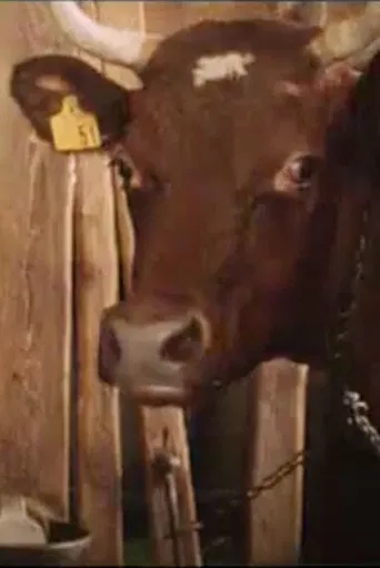 Del av den värld som är din : en kofilm poster