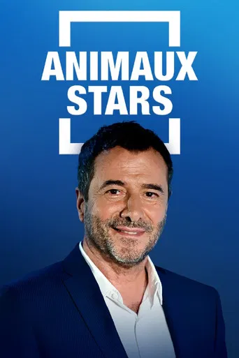 Animaux stars poster