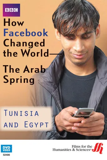 How Facebook Changed the World: The Arab Spring poster