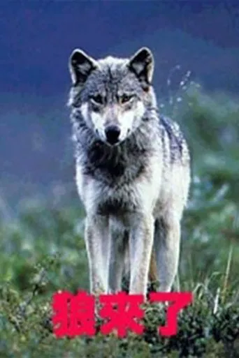 狼来了 poster