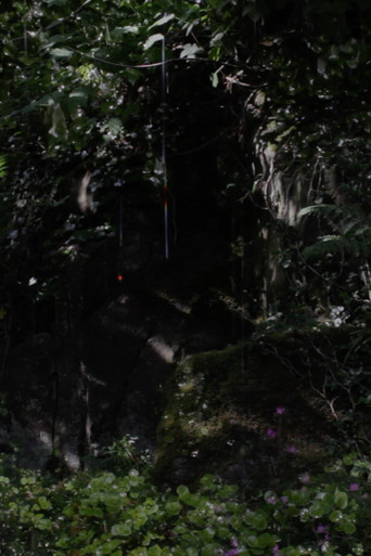 The Toby Tatum Guide to Grottoes & Groves poster