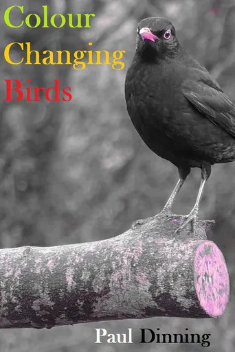 Colour Changing Birds poster
