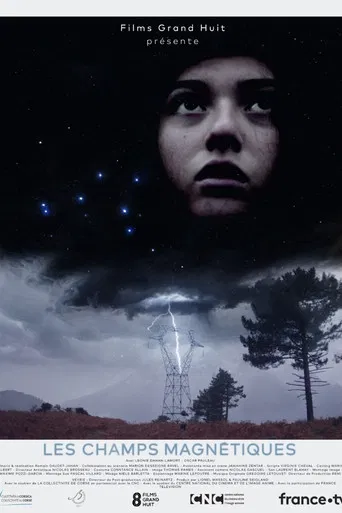 Magnetic Fields poster