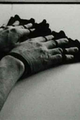 Fingerfächer poster