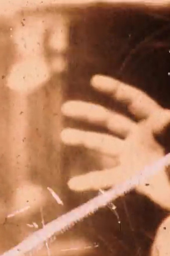 Confessions of a Trash Thief poster