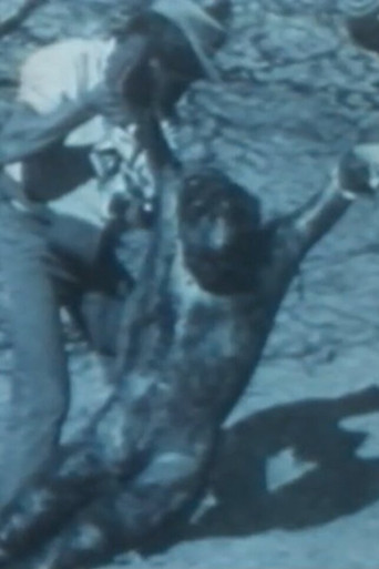 Senderos de violencia poster