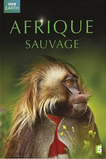 Afrique Sauvage poster