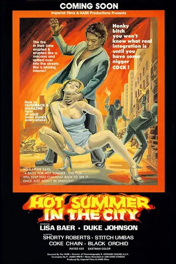 Hot Summer In The City poster