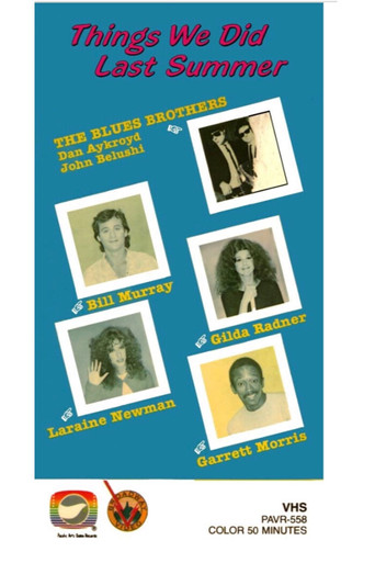 The Things We Did Last Summer poster