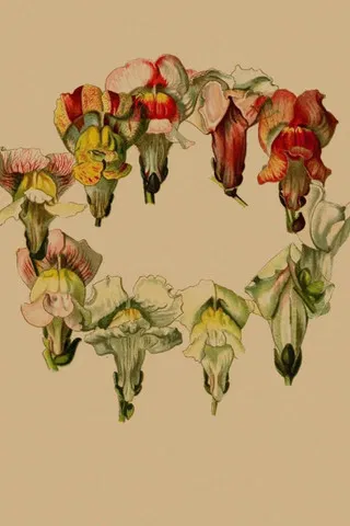 Stories In Place: Plante. poster