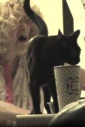 The Butchered Beefcake poster