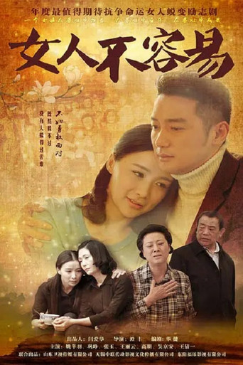 女人不容易 poster