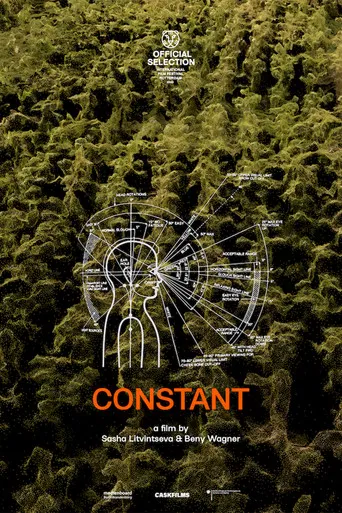Constant poster