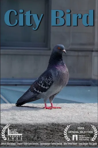City Bird poster