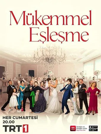Mükemmel Eşleşme poster