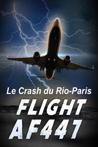 Vol AF 447, Le crash du Rio-Paris poster