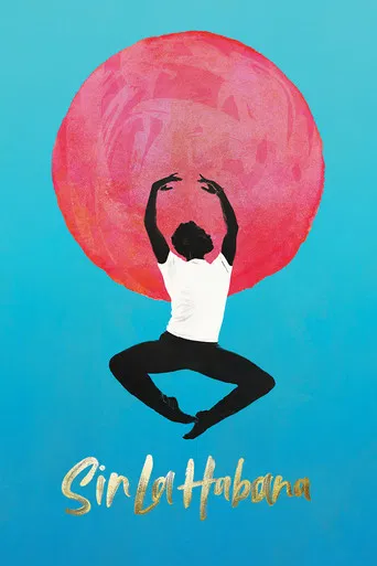 Without Havana poster