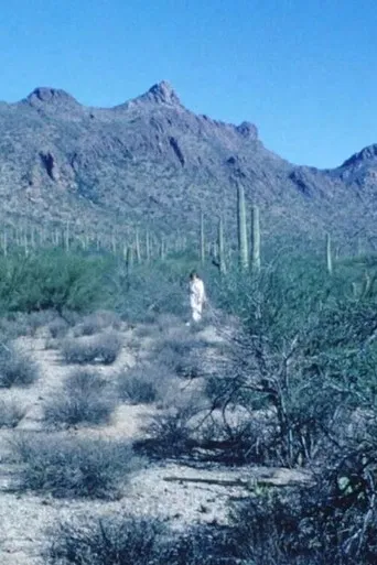 Mirror Movement poster