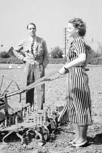 Sockerskrinet poster