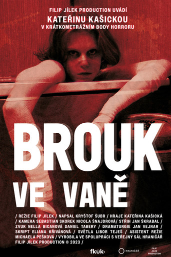 Bug in the Bathtub poster