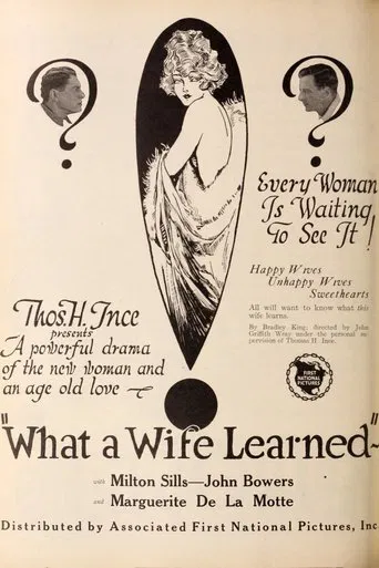 What a Wife Learned poster