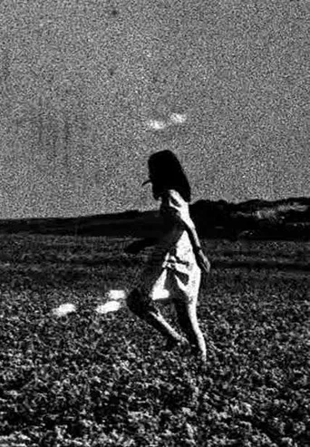 Dream Enclosure poster