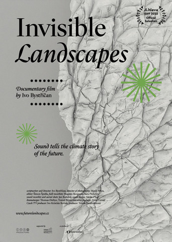 Invisible Landscapes poster