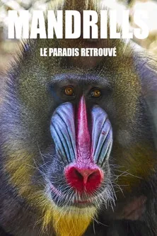Mandrills : le paradis retrouvé poster