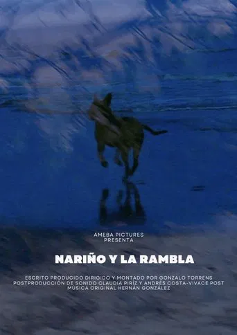 Nariño y la Rambla poster