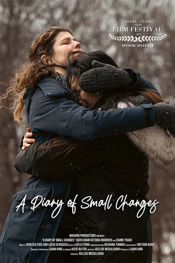A Diary of Small Changes poster